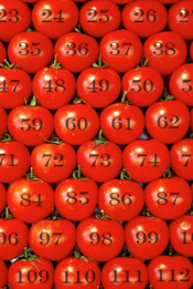 Army-of-tomatoes2