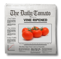 TomatoTimesVineRipened