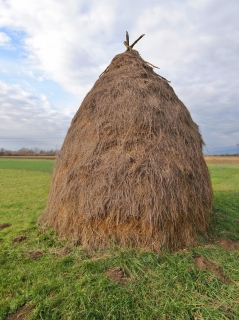 Haystack