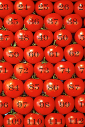 Armyoftomatoes2