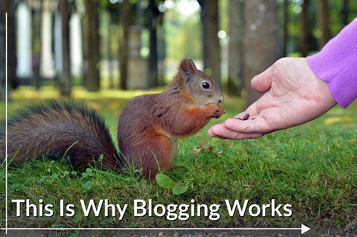 Why Does Real Estate Blogging Work?