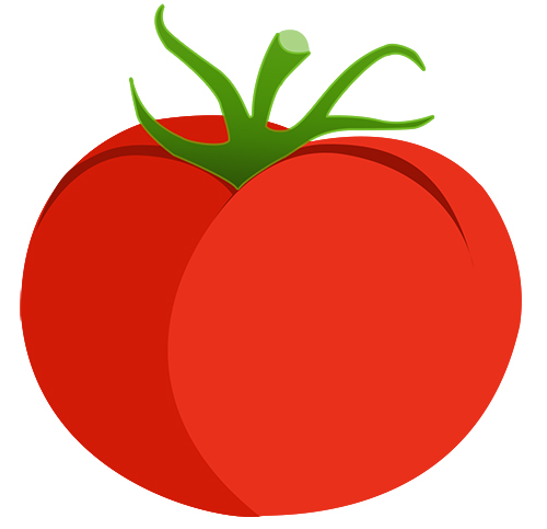 WordPress Real Estate Website Design | Real Estate Tomato logo